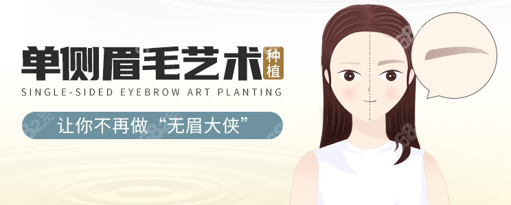 女士眉毛种植图片大全