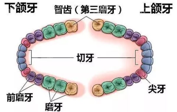 重庆拔智齿可以报销