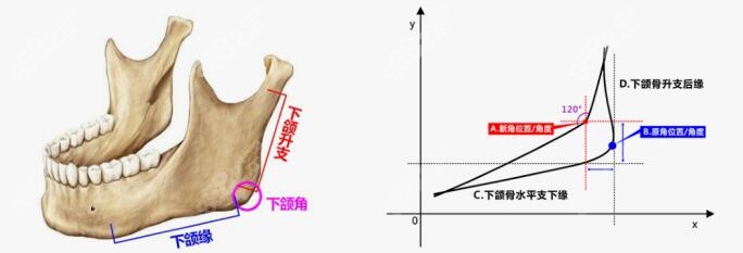 广州柳超、沈绍勇做下颌角削骨手术优势