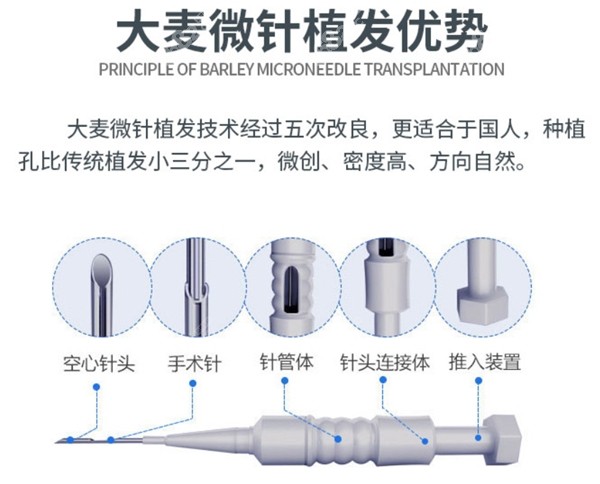 大麦微针植发一个单位的价格是：13元起