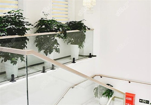 上海新菲口腔内部环境照片
