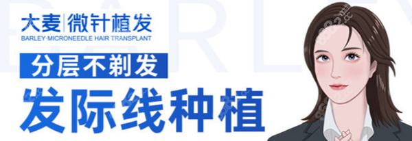 大麦微针发际线种植价格