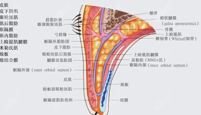 眼综合