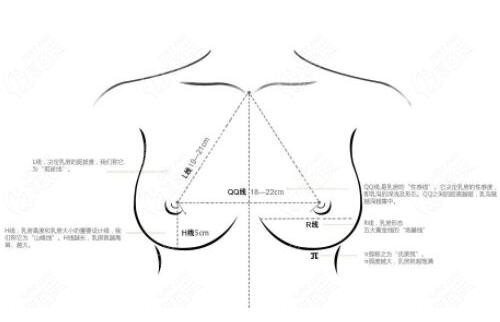 殷初阳胸部修复美学标准