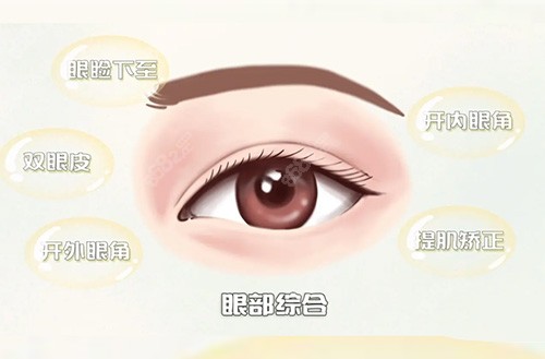 杭州高士乾双眼皮修复怎么样