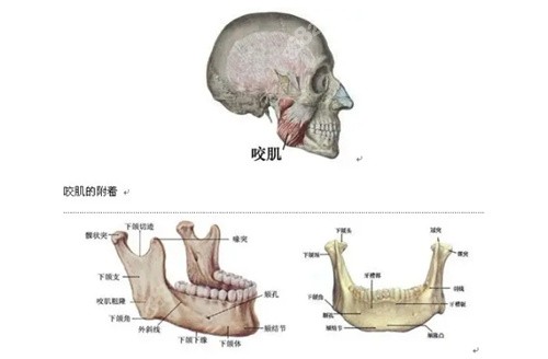 韩国da整形医院做面部轮廓技术怎么样