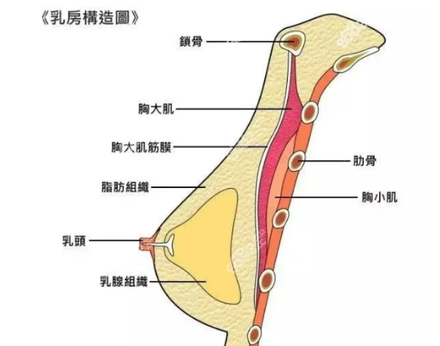 <!--<i data=20240705-sp></i>-->医疗美容医院