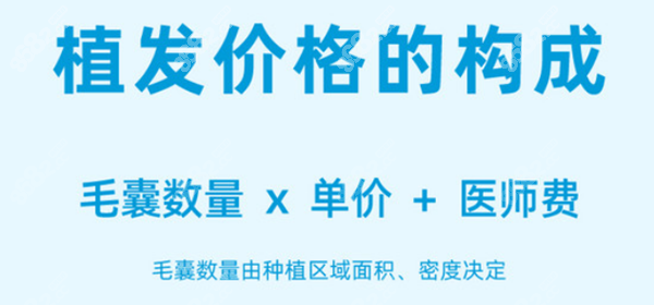 各项目植发价格不同