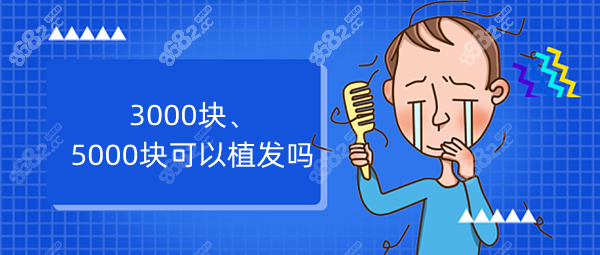 3000、5000块钱可以植发吗