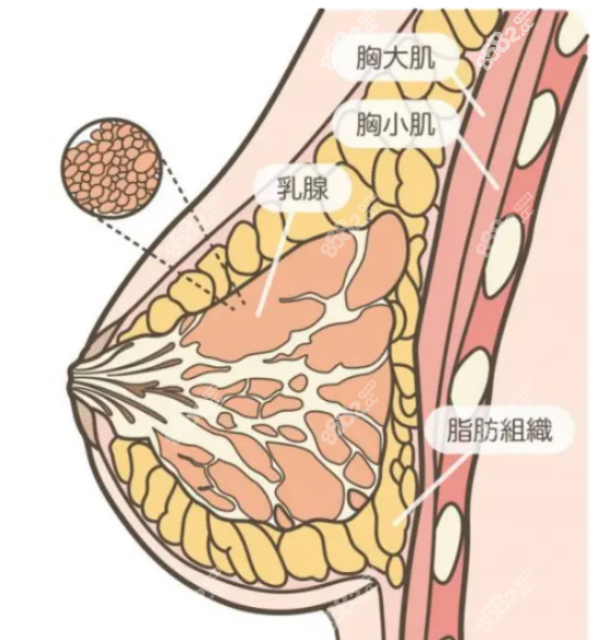 郝永生医生