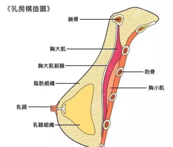 假体隆胸手术