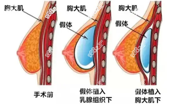 谢卫国医生