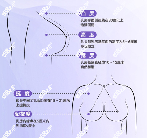 上海伊莱美乳房下垂矫正术前设计
