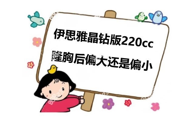 伊思雅晶钻版假体220偏大还是偏小