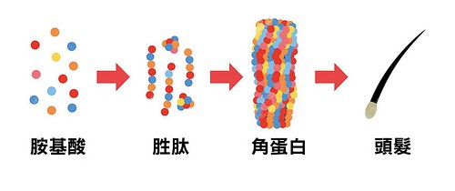 植发后的染烫间隔多长时间