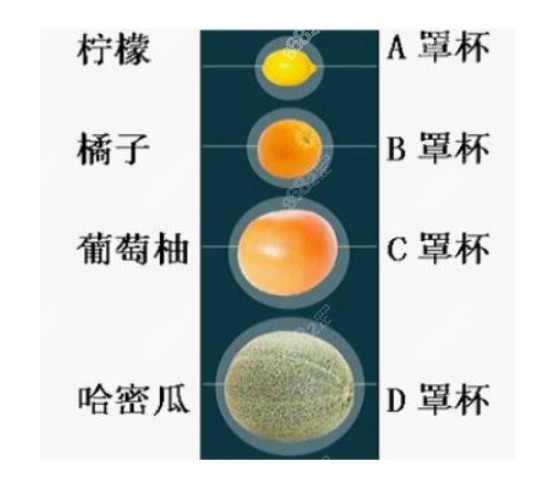 伊思雅灵动版光面假体300cc有多大