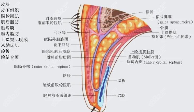 济南诺德医疗美容做双眼皮怎么样