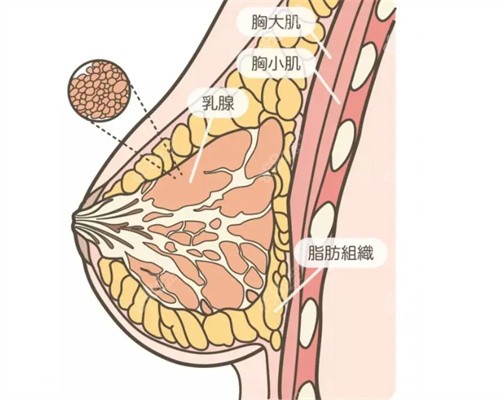 除了擅长颌面磨骨类整形外,眼鼻胸整形也非常厉害,像是高难度乳房重建