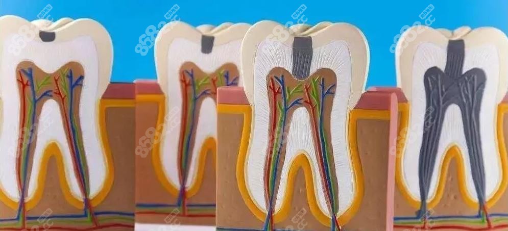 <!--<i data=20240705-sp></i>-->口腔综合口腔治疗费用