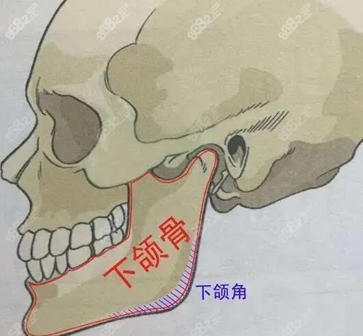 高俊明做下颌角怎么样