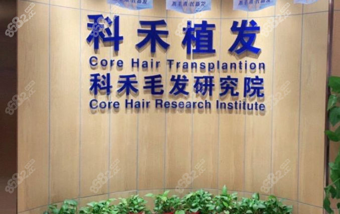 <!--<i data=20240705-sp></i>-->植发价目表整理8682.cc