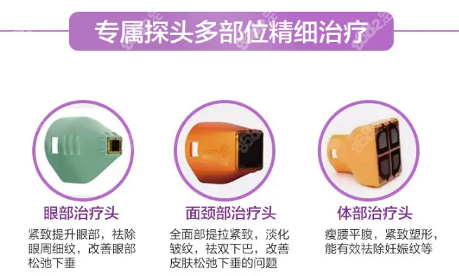 熱瑪吉的探頭貴