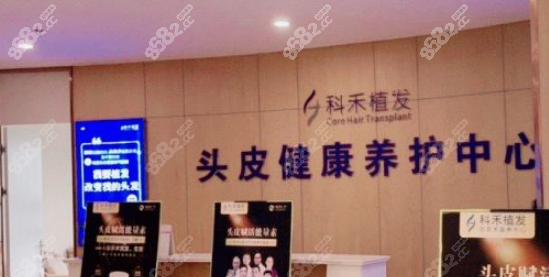 <!--<i data=20240705-sp></i>-->植发费用价目价格表