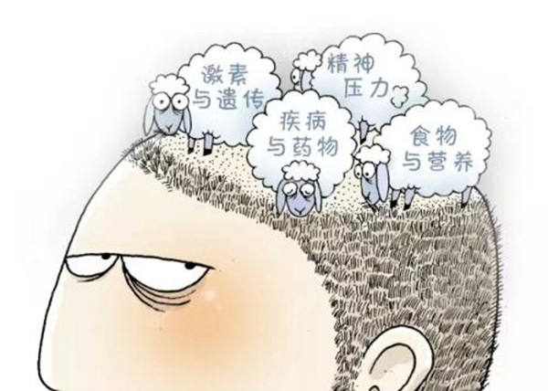 长生堂和柳屋生发液的区别