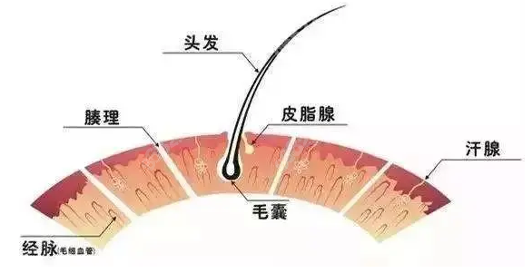 龙卷风670nm激光生发仪的作用