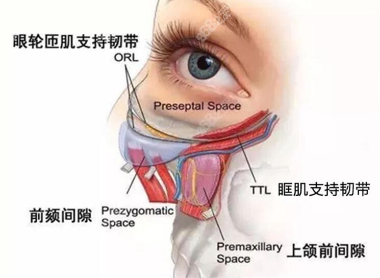 韩国做双眼皮修复和国内价格不一样