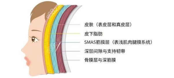 高亚东双平面拉皮手术层次8682.cc