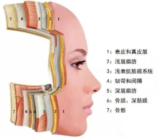 赛诺秀5d胶原光和超声炮区别