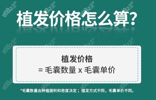 秃顶植发价格怎么计算 8682网