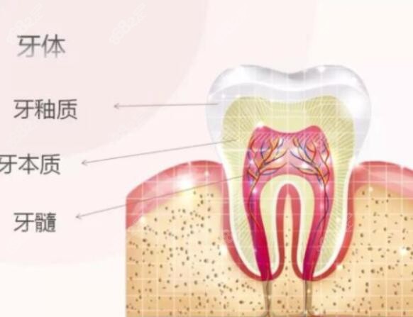 牙髓炎不治疗会一直疼吗