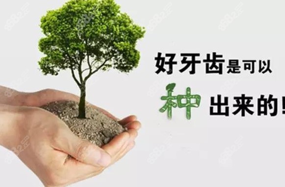种植牙就像是种树一样