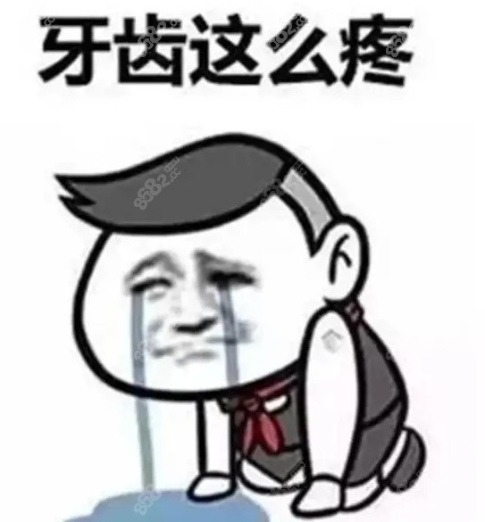 杭州上城区牙科收费价格表