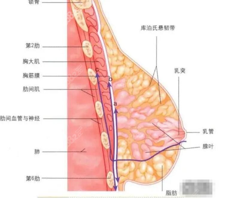 去韩国隆胸可靠吗