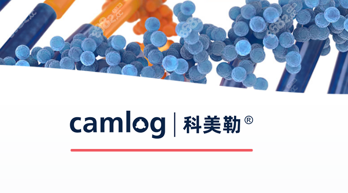 德国camlog种植体价格表