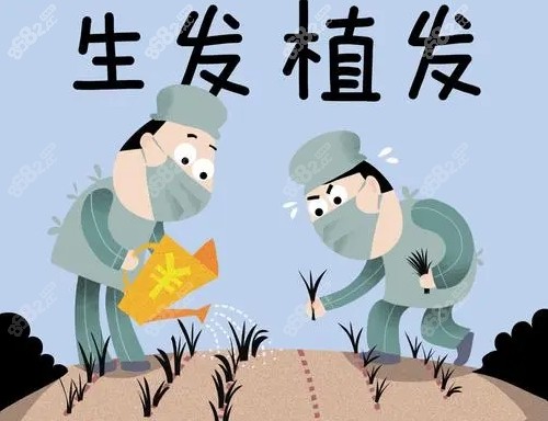 上海<!--<i data=20240705-sp></i>-->毛发医院植发怎么样