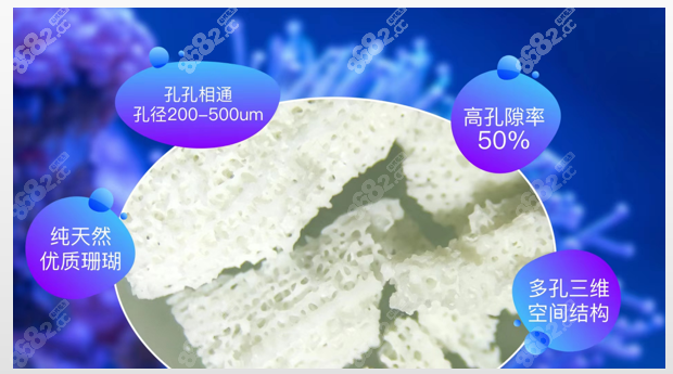 珊瑚骨填充扁头费用多少钱
