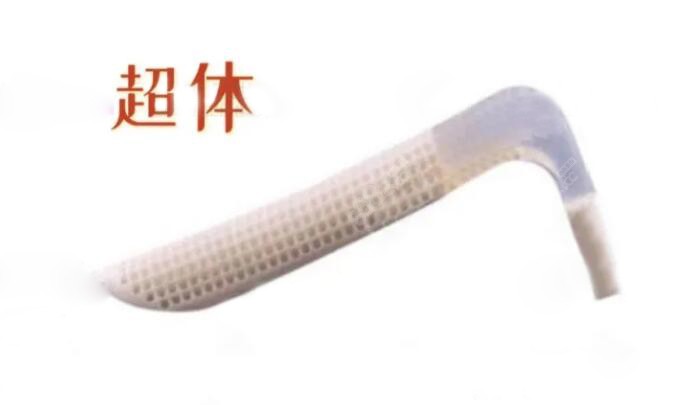 隆鼻假体超体的形态