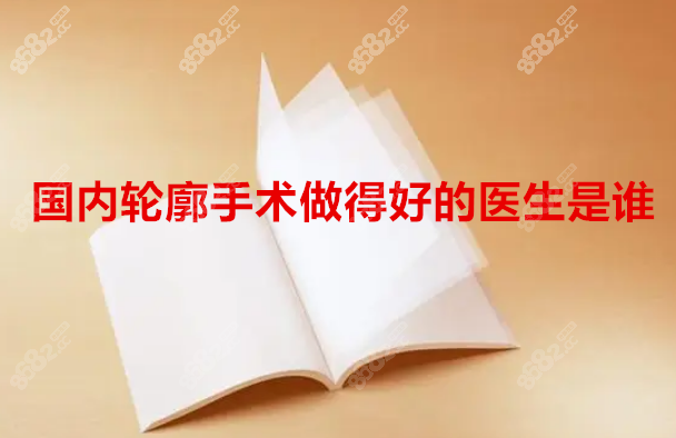 国内国内轮廓手术做得好的医生是谁