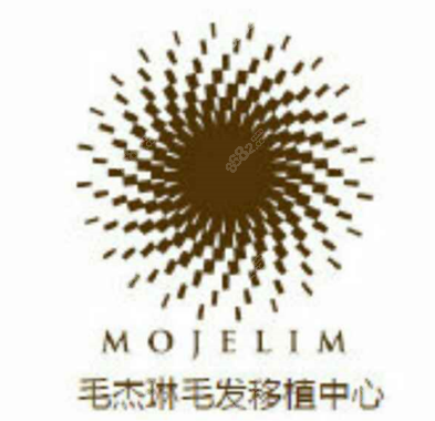 韩国毛杰琳毛发移植