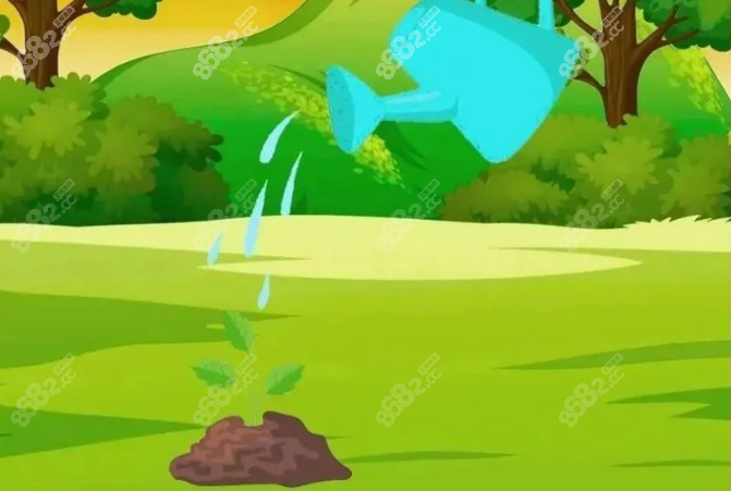 种植牙就像是种一颗小树