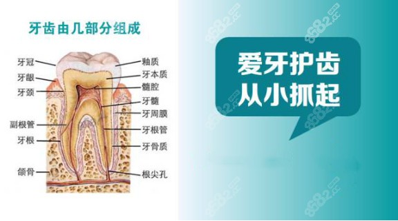 轻微牙隐裂的治疗方法