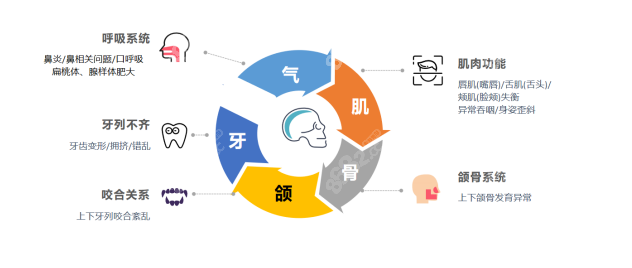 海狸家口腔矫正牙齿优势