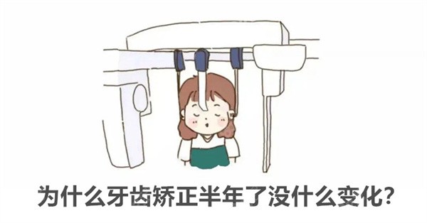 为什么牙齿矫正半年了没什么变化