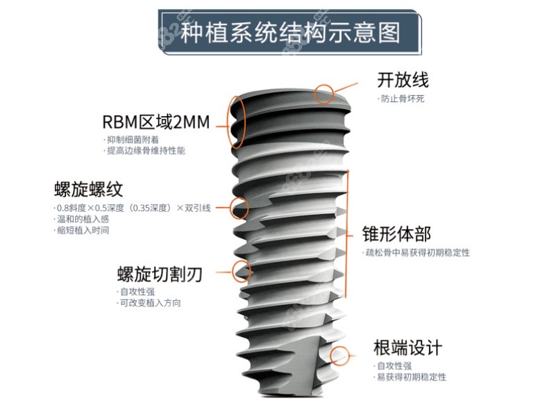 韩国奥齿泰GS/TS系列型号的价格