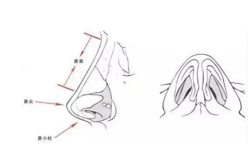 杭州李保锴修复鼻子怎么样