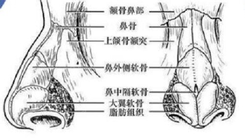 成都西区邓东伟鼻修复